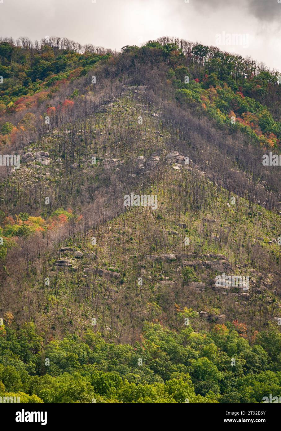 Great Smoky Mountains National Park in North Carolina Stock Photo