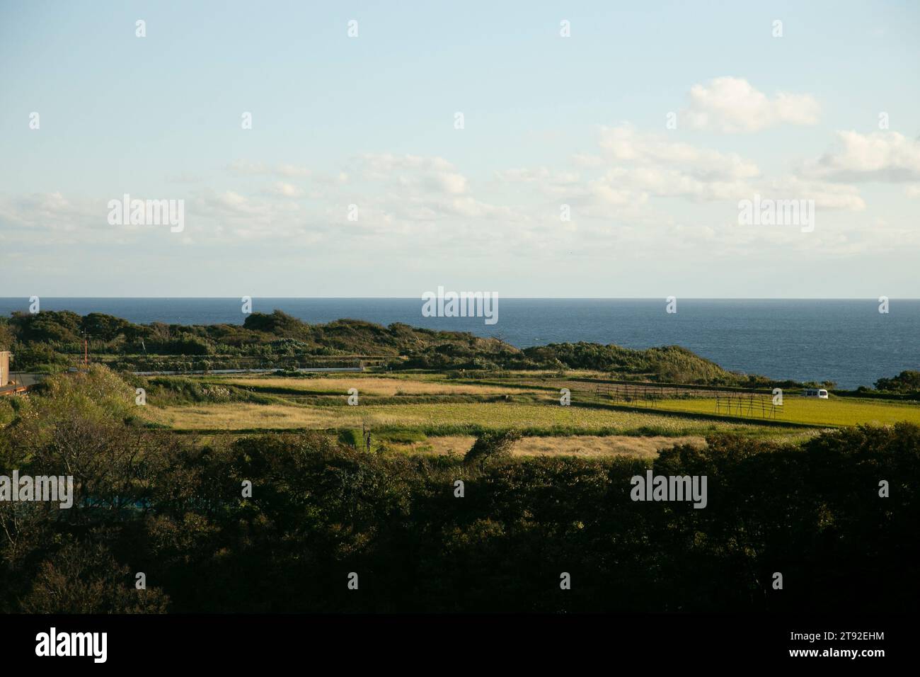 Rice fields on Sado Island in Niigata, Japan Stock Photo Alamy