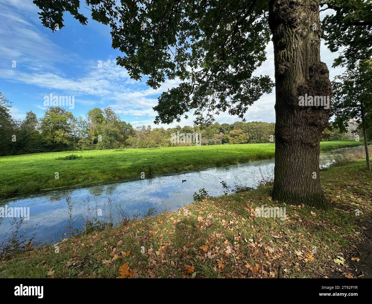 Beautiful water channel, green grass and trees in park Stock Photo