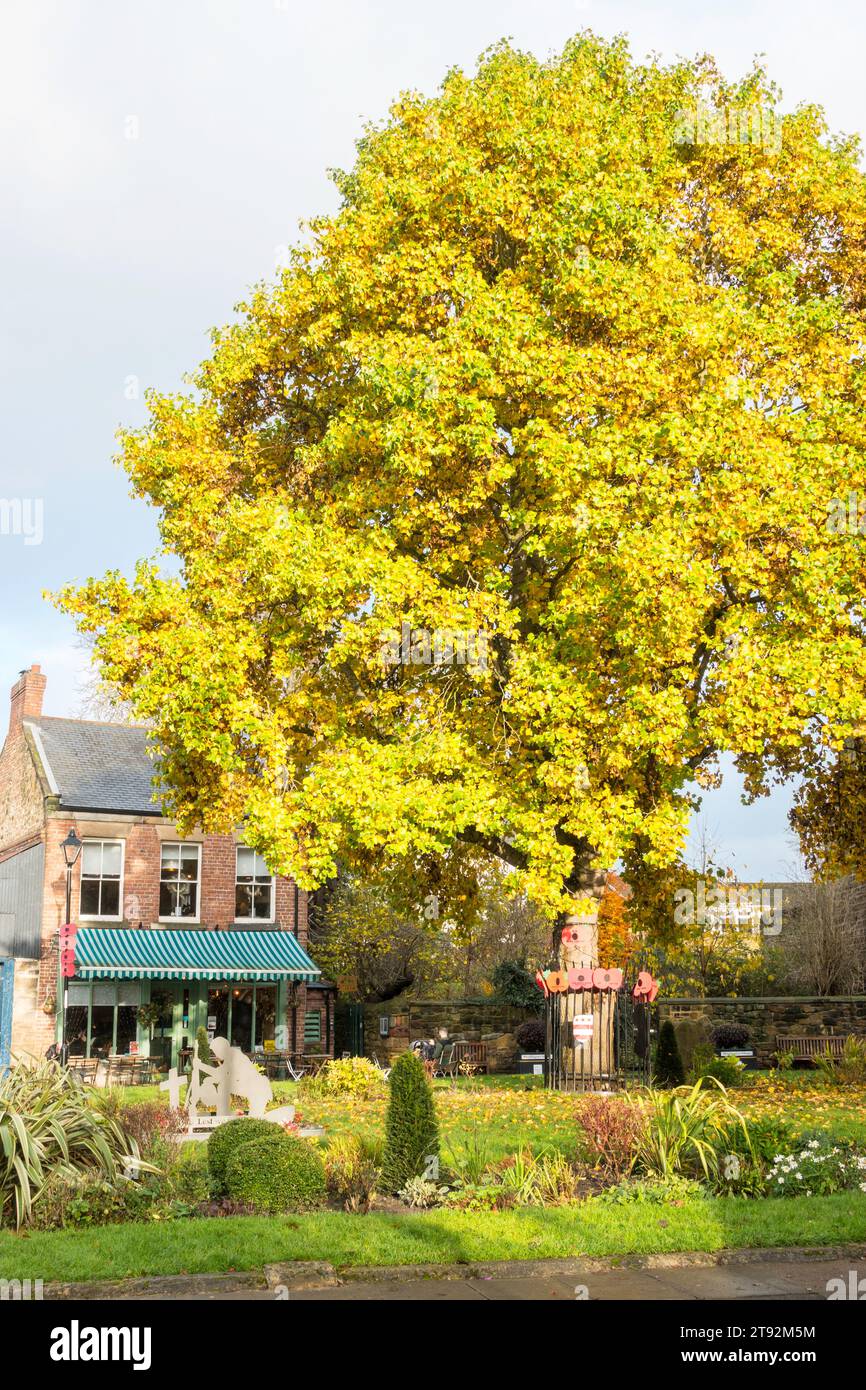 Autumn colour in Washington Village, north east  England, UK Stock Photo