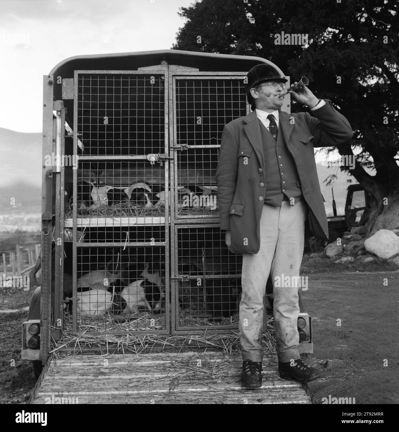 Fox Hunting UK, The Lake District the Blencathra Foxhounds. Barry Todhunter - Master of the Blencathra calls in missing hounds at the end of the day's hunt. Hounds can get 'lost' during a days hunting, they often cover 20 mils or more. Near Braithwaite, Cumbria. 2002, 2000s England HOMER SYKES Stock Photo