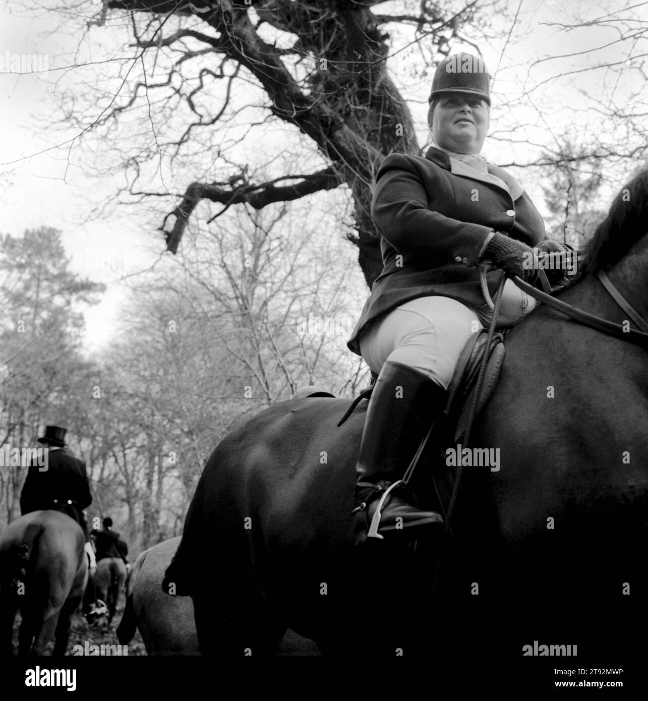 The Duke of Beaufort Hunt. The mounted field wait in a clearing on the Badminton estate, while the huntsman and hounds draw a covert. The Boxing Day Meet, Worcester Lodge, near Didmarton, Gloucestershire 2002. 2000s UK HOMER SYKES Stock Photo
