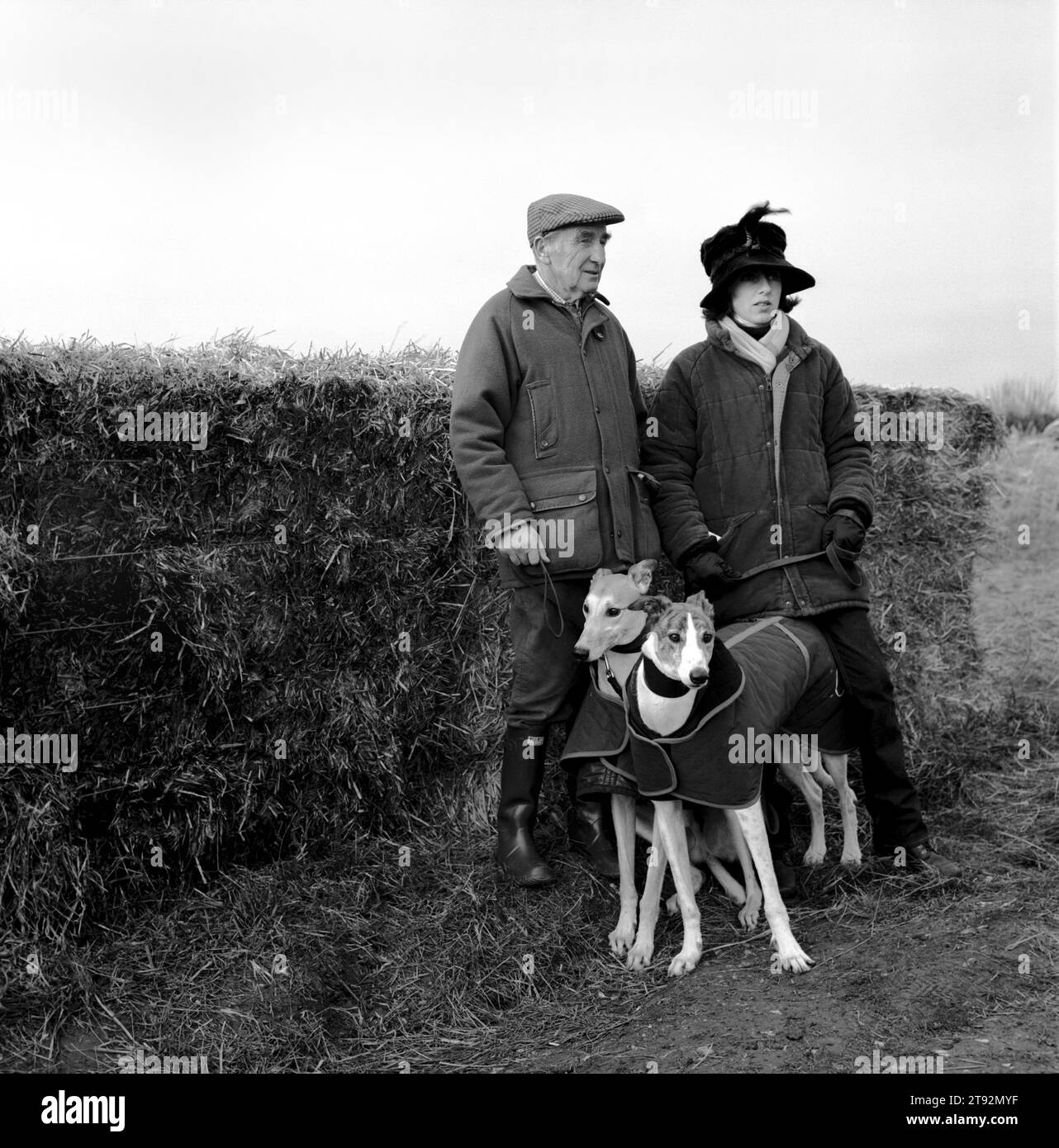 Hare Coursing UK 2000s. Cliff Standing and daughter Caroline trainer and owner with their greyhounds wait for a signal to walk their hounds down to the starting position during the Greyhound 2000 Meet. Near Six Mile Bottom, Newmarket, Suffolk 2000 England HOMER SYKES Stock Photo