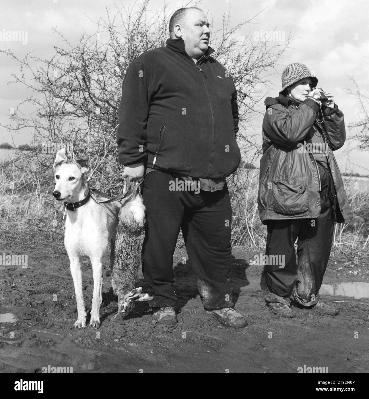 Single handed Hare Coursing for Hare and Rabbit. 2000s UK.  John Armstrong holding a culled caught Common Brown Hare from the North East Lurcher Club a guest of The Old English and Colonial Lurcher Club hunting in Lincolnshire on an extremely cold and blustery February day.  Barbara Tyer wraps up to keep the wind and rain out. 2000s UK England  HOMER SYKES Stock Photo