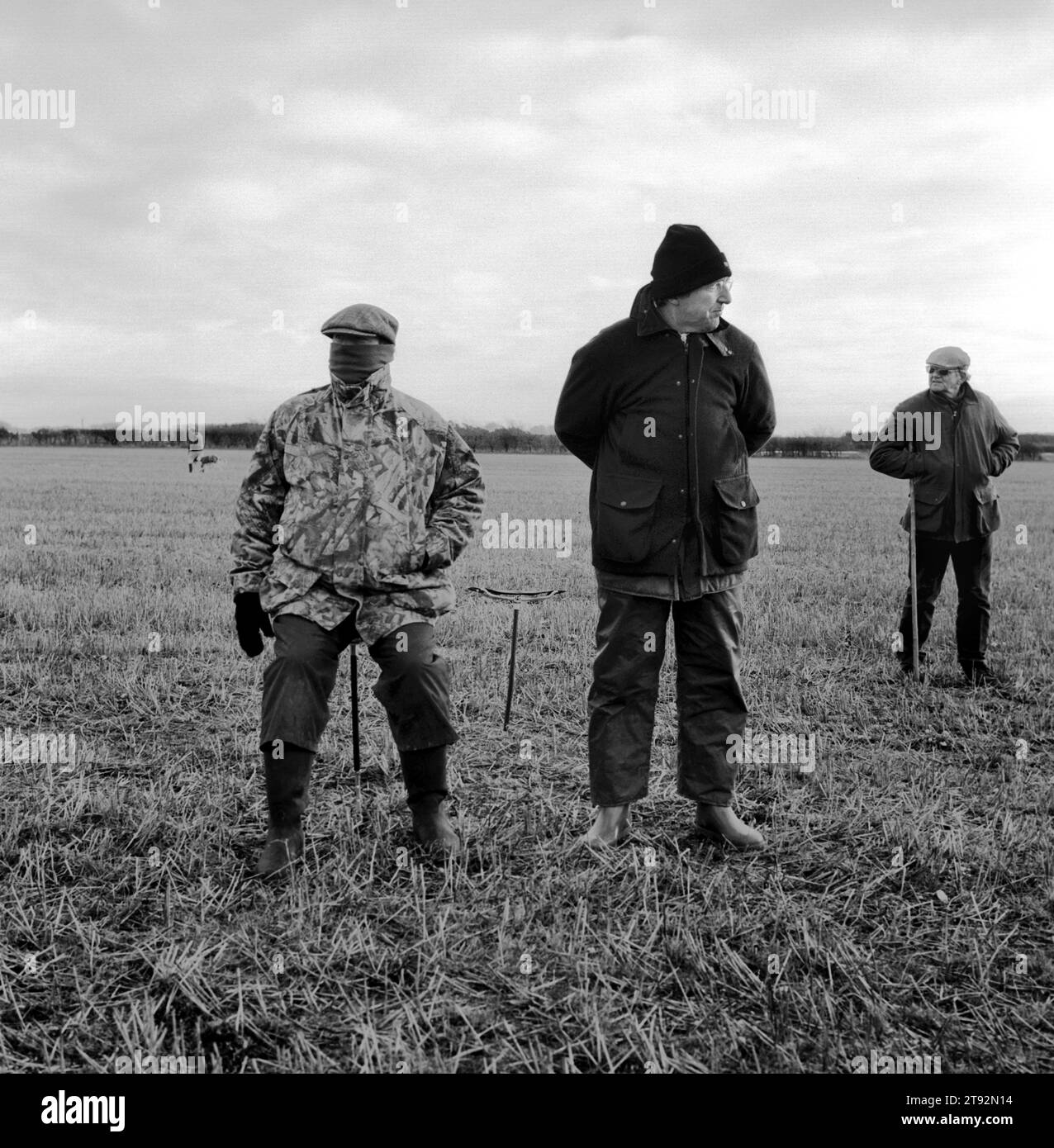 Hare Coursing 2000s UK. On a bitterly cold February day members of the Swaffham Coursing Club meet near Narborough, Norfolk, England 2000s HOMER SYKES Stock Photo