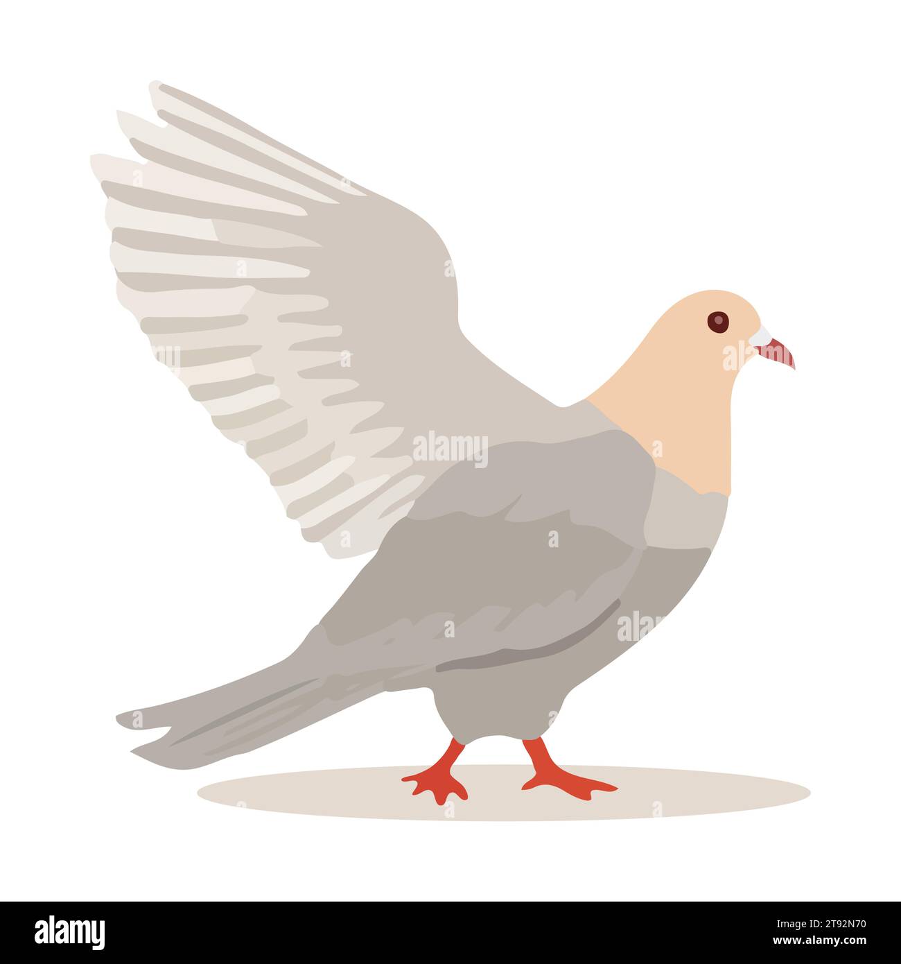 Cartoon pigeon isolated on white background. Cartoon style. Vector ...