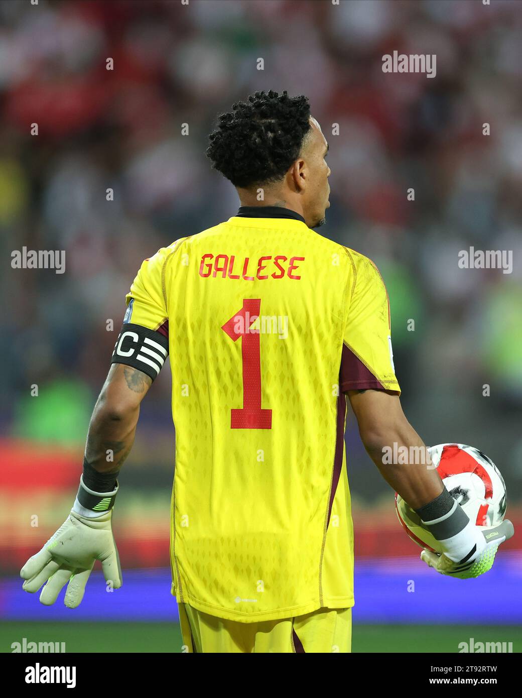 Lima, Peru. 21st Nov, 2023. Pedro Gallese of Peru during the FIFA 2024 World Cup qualifying round match between Peru and Venezuela played at Nacional de Lima Stadium on November 21 in Lima, Peru. (Photo by Miguel Marrufo/PRESSINPHOTO) Credit: PRESSINPHOTO SPORTS AGENCY/Alamy Live News Stock Photo