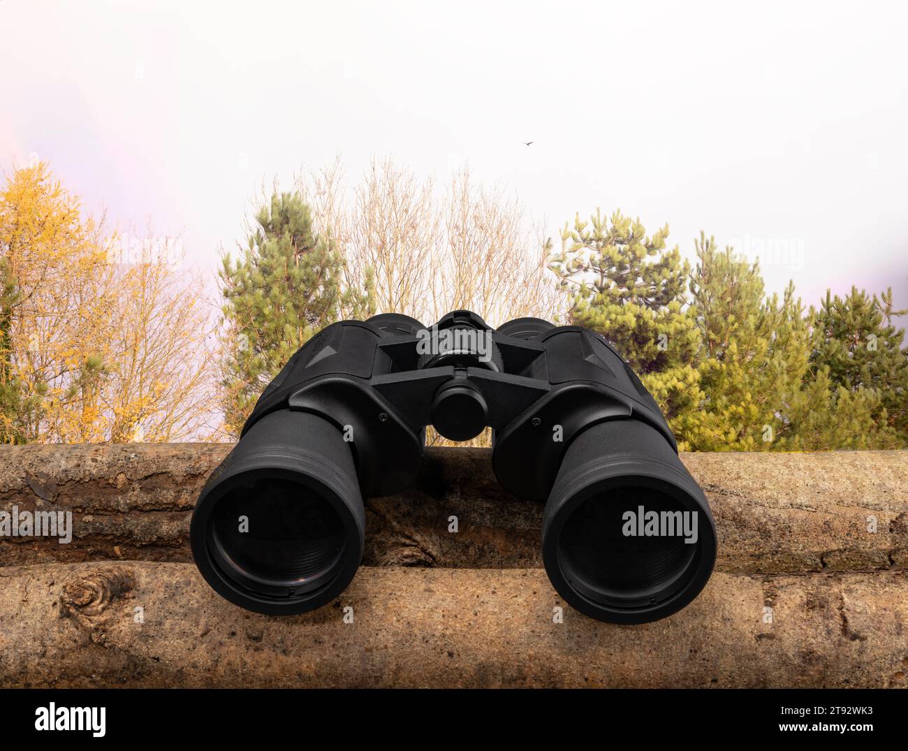 A pair of binoculars resting on a log with copy space Stock Photo