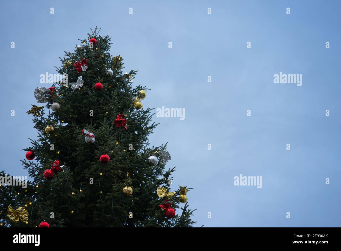 Immerse yourself in the enchantment of a majestic Christmas tree, standing tall and resplendent with radiant lights, red, golden, and silver ornaments Stock Photo