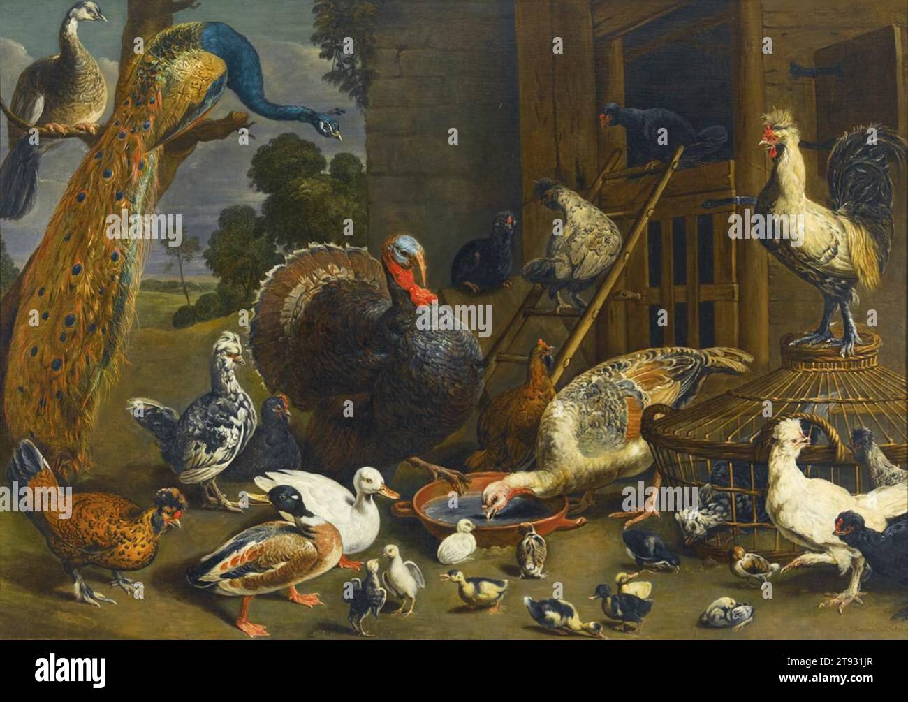 A Variety of Birds - by Adriaen Van Utrecht Stock Photo