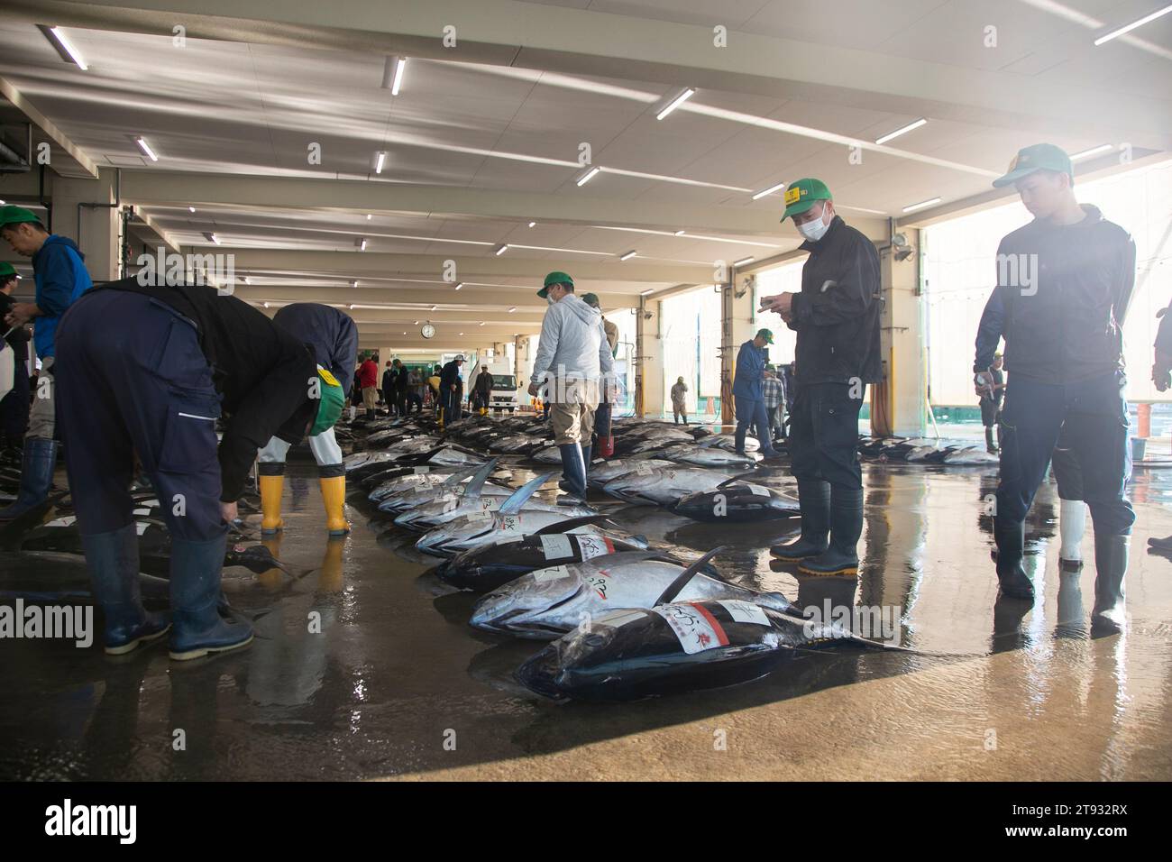 Nachikatsuura, Japan; 1st October 2023 Fishermen and buyers at tuna