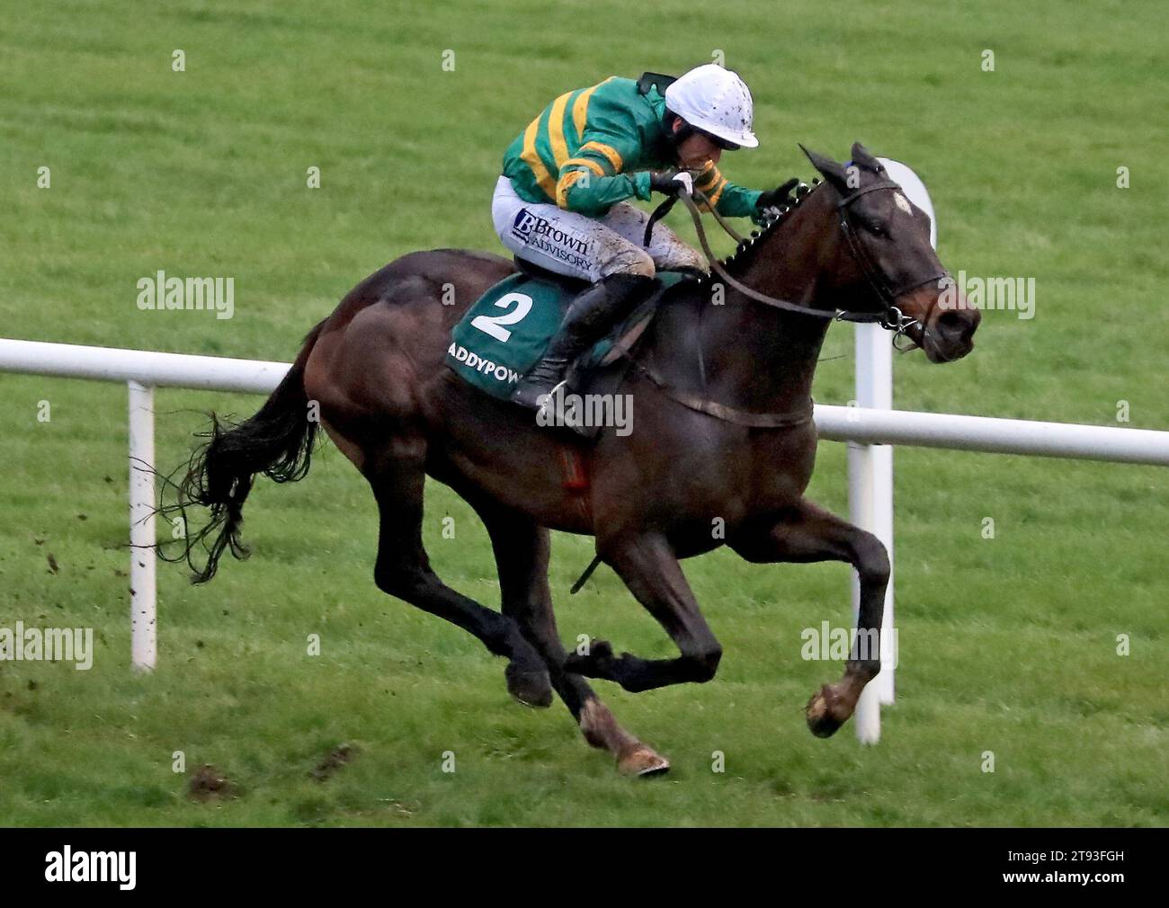 File photo dated 27-12-2022 of Fact To File, whose connections are confident has a bright future over fences following a chasing bow at Navan over the weekend. Issue date: Wednesday November 22, 2023. Stock Photo