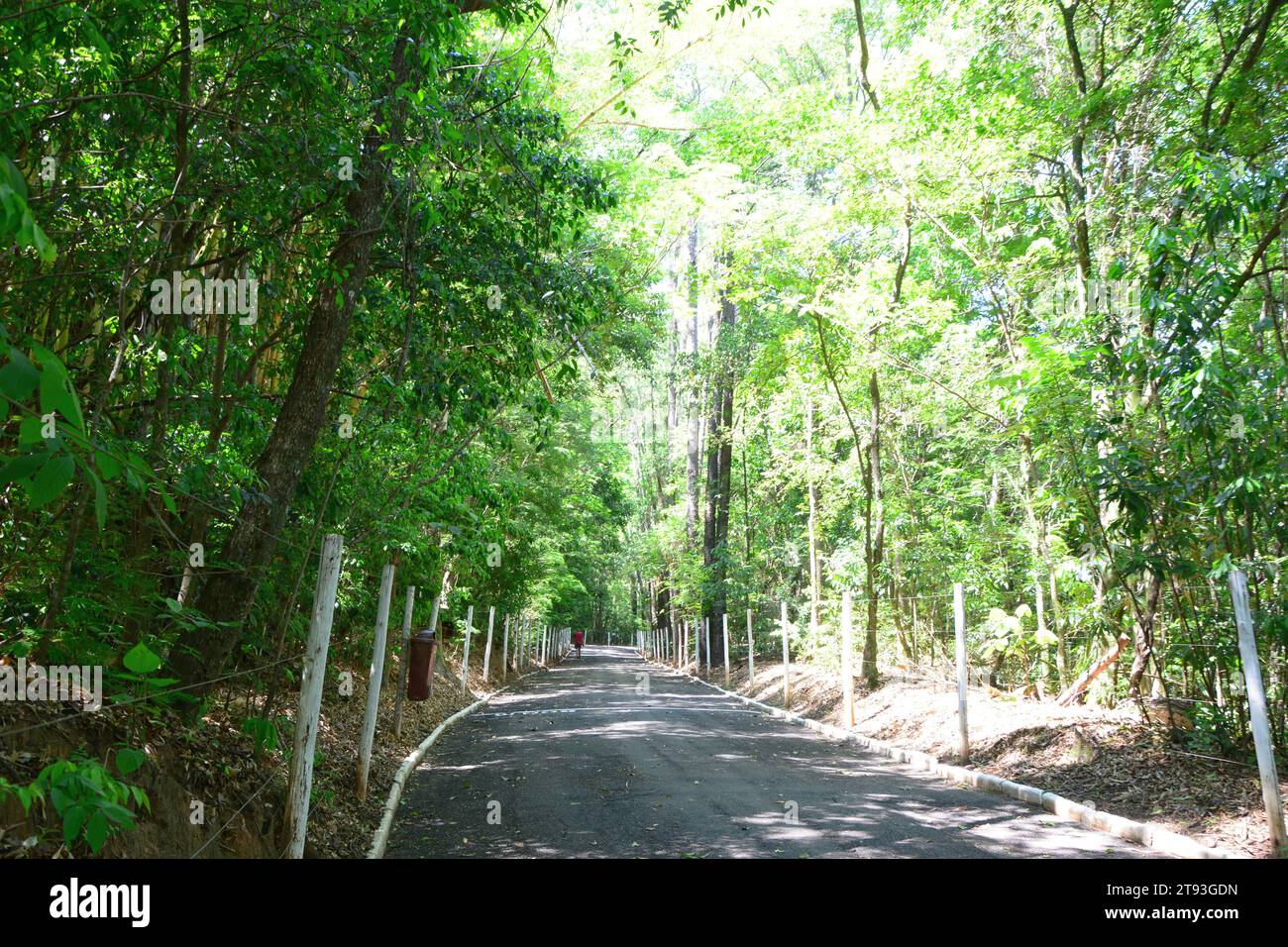 Man amid the nature hi-res stock photography and images - Alamy