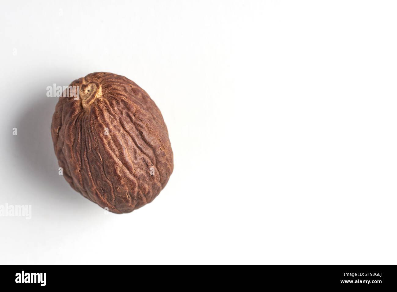 Brown dried nutmeg isolated on white background Stock Photo - Alamy