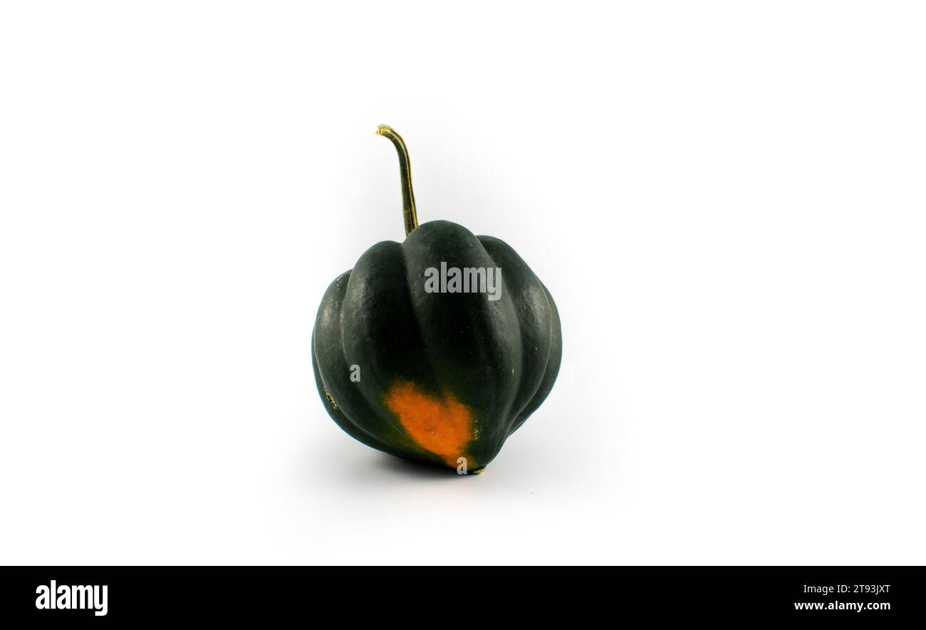 Photo of a variety of squashes, including delicata, kabocha, acorn, honey nut, and patty pan Stock Photo