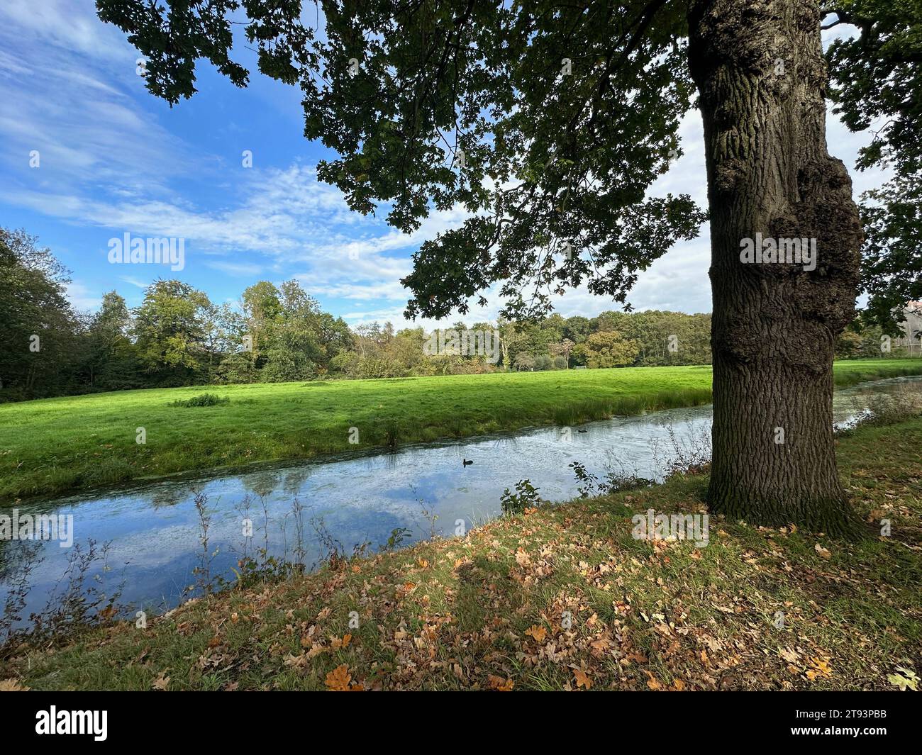Beautiful water channel, green grass and trees in park Stock Photo