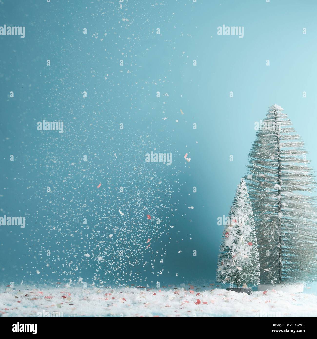 Snow falling fir trees hi-res stock photography and images - Alamy