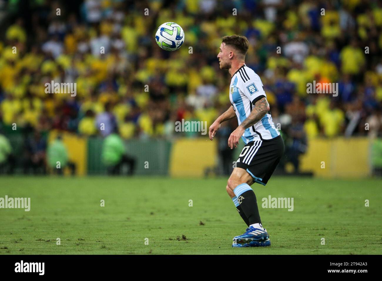 Alexis Mac Allister, Argentina player Stock Photo Alamy