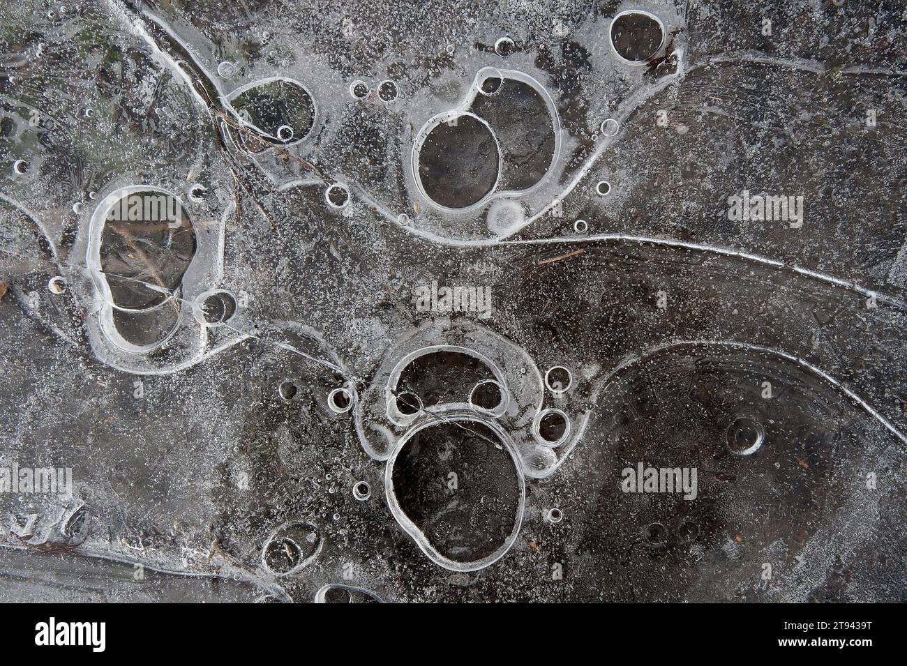 Ice pattern in winter Stock Photo