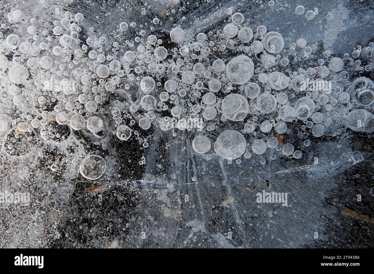 Ice pattern in winter Stock Photo