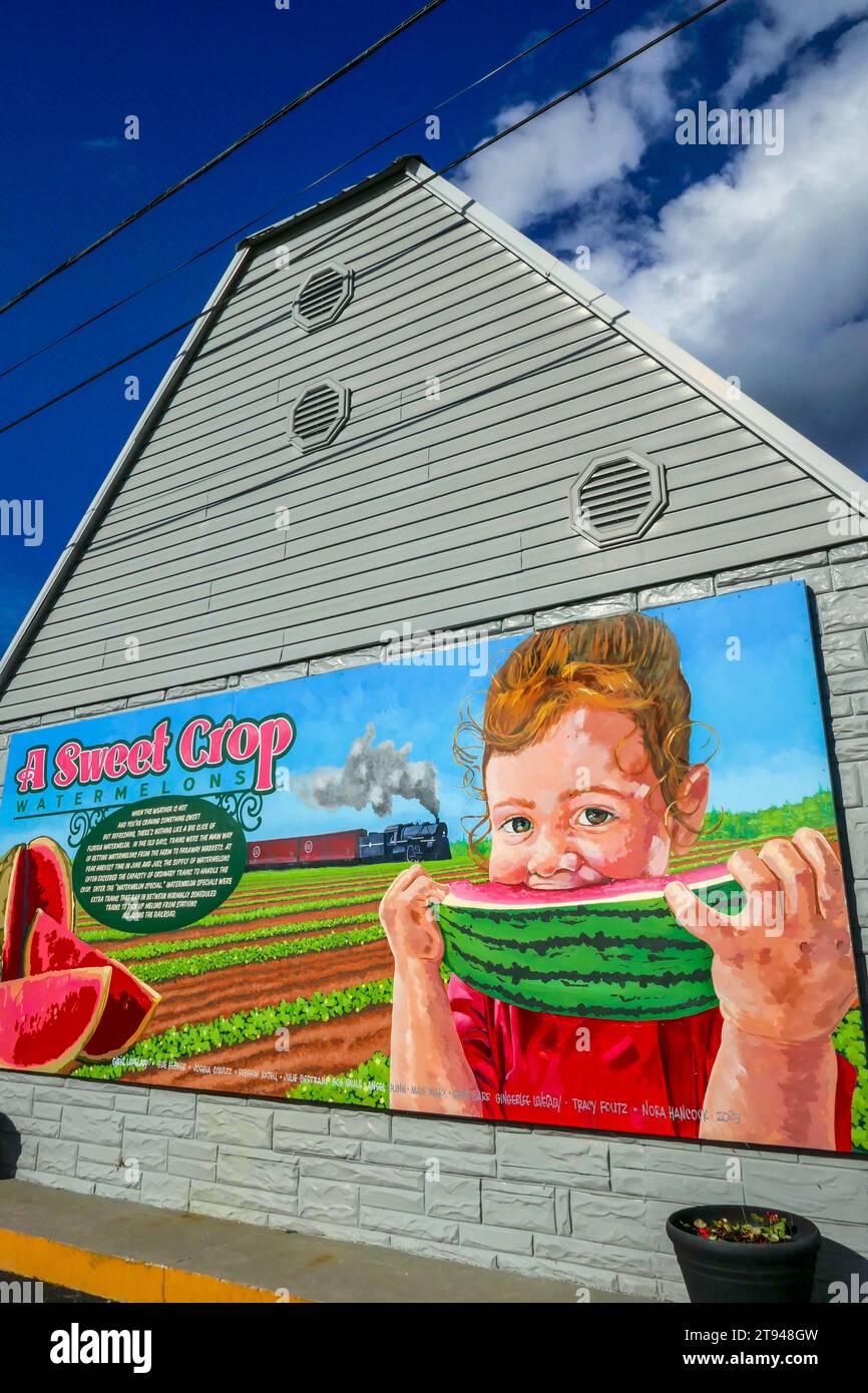 COLORFUL MURAL OF A BOY EATING A WATERMELON ON THE SIDE OF A LOCAL BUSINESS IN A NORTH FLORIDA SMALL TOWN. Stock Photo