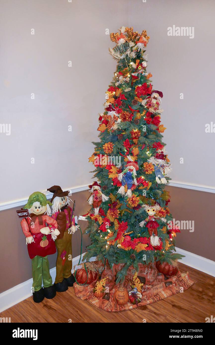 Decorated tree for the Fall Season in a Coctor's Office waiting room in North Florida. Stock Photo