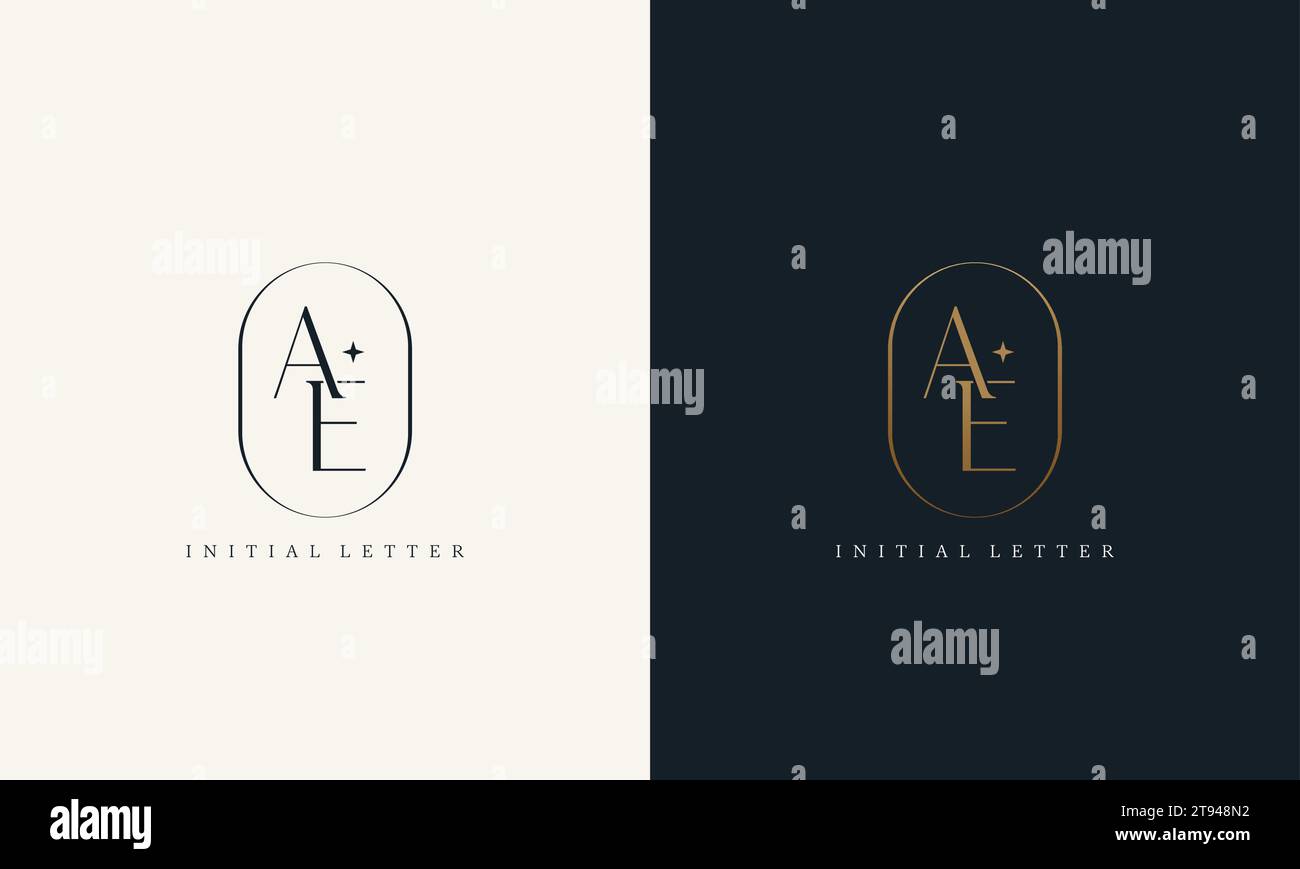 premium AE logo monogram with gold circle frame. luxury initials design minimal modern typeface. Stock Vector