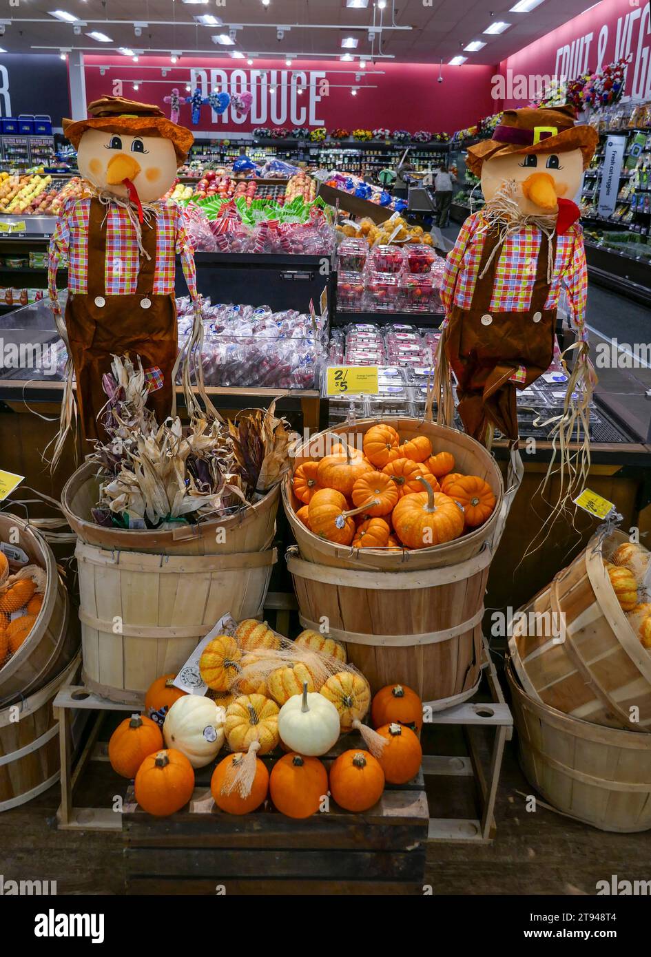 fALL PUMPKIN DISPLAY IN A LOCAL nORTH fLORIDA GROCERY STORE. Stock Photo