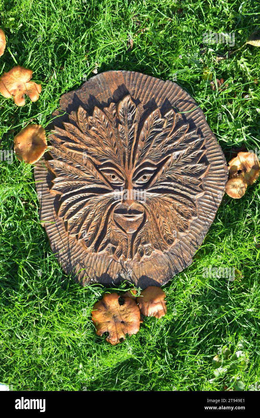 Pagan Green Man mask represented in oak wood carving, formed from fallen oak tree, surrounded by fungi. Carved By Don Minnaar Stock Photo