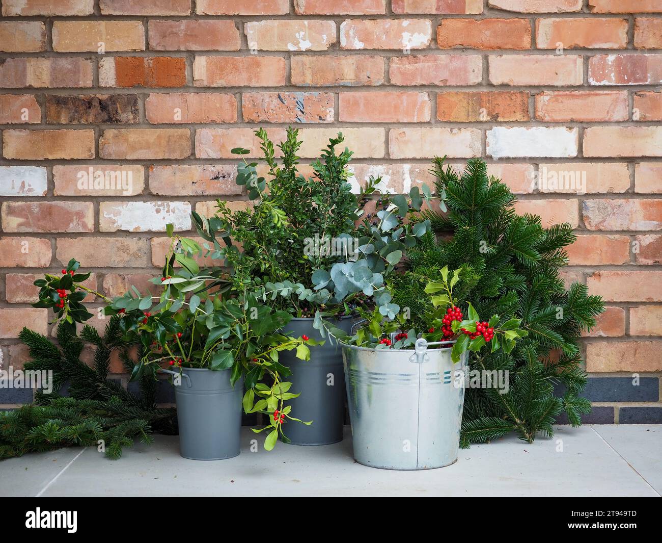 Buckets of foraged Christmas foliage - including holly, eucalyptus and evergreen conifer branches - perfect for wreath making or festive arrangements Stock Photo