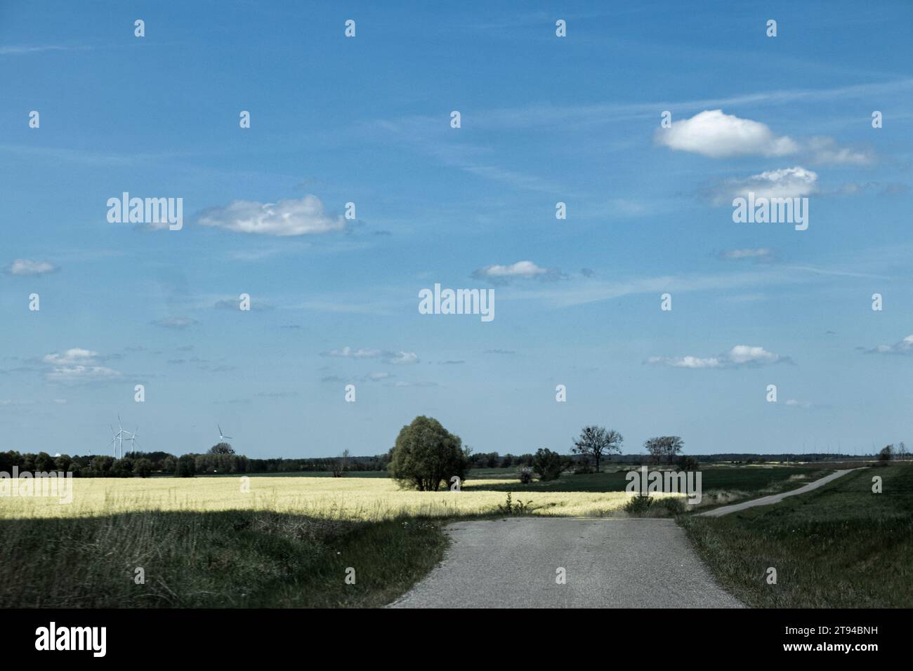 Summertime trees landscape hi-res stock photography and images - Alamy