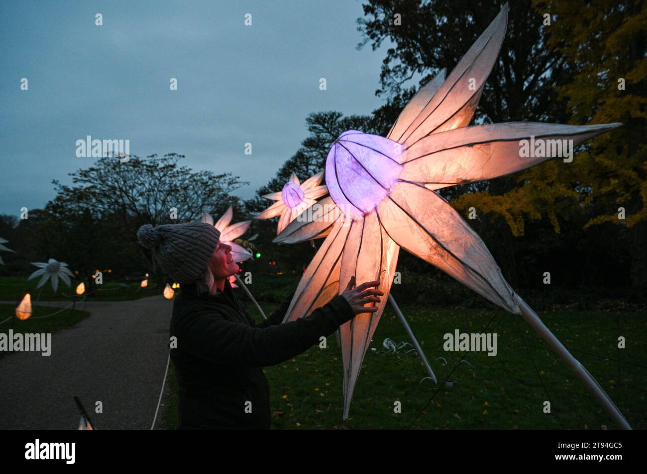 Haywards Heath UK 22nd November 2023 - Artist Michelle Dufaur with one of her creations at the opening night at the Kew Wakehurst Glow Wild lantern trail tonight . This yearÕs theme invites visitors to reflect on the awe-inspiring moments in the natural world as the trail celebrates its tenth anniversary with over 1000 handmade lanterns lining the one mile route : Credit Simon Dack / Alamy Live News Stock Photo