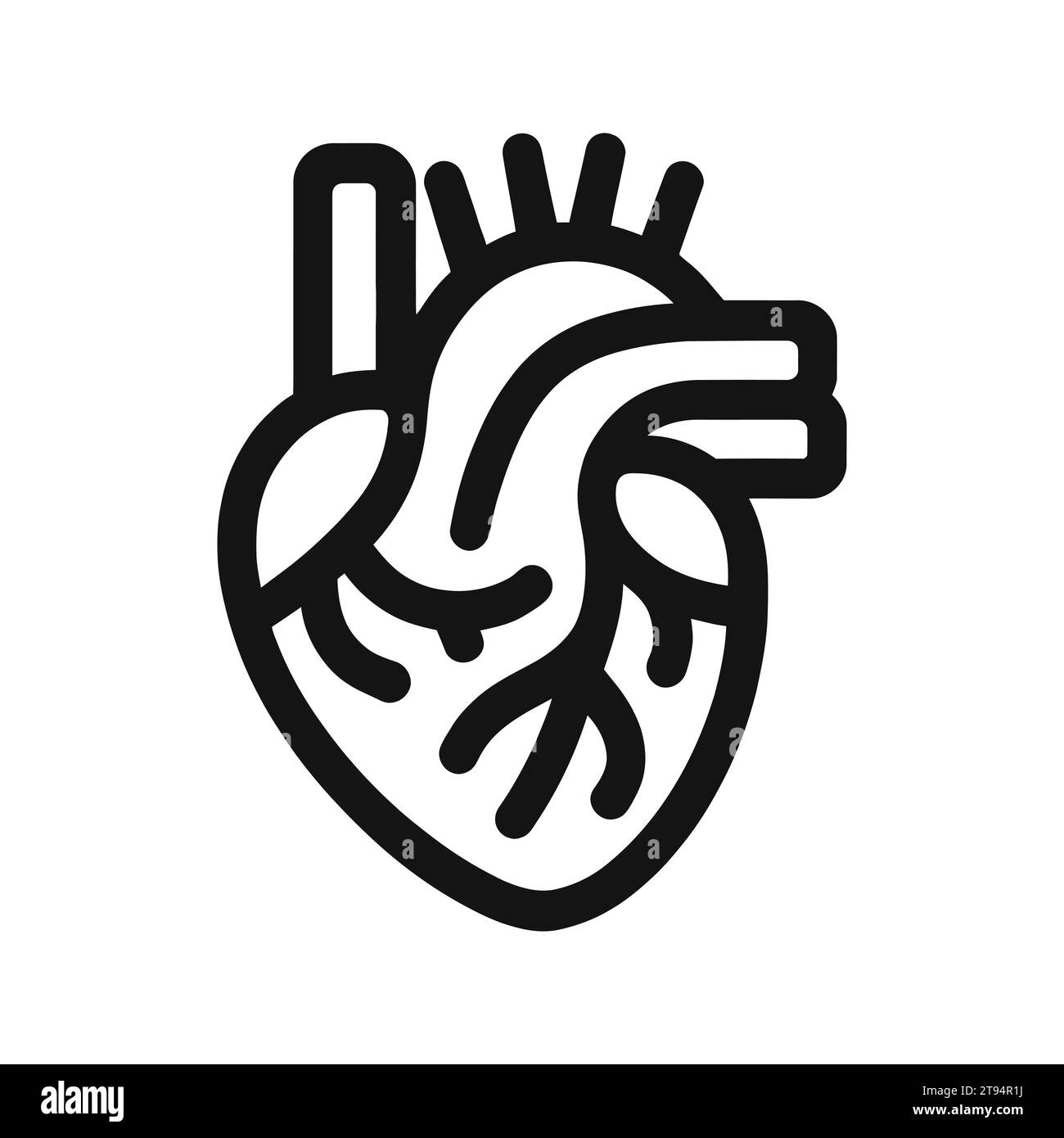 Icon Of Human Heart In Outline Style Isolated Stock Vector Image & Art 