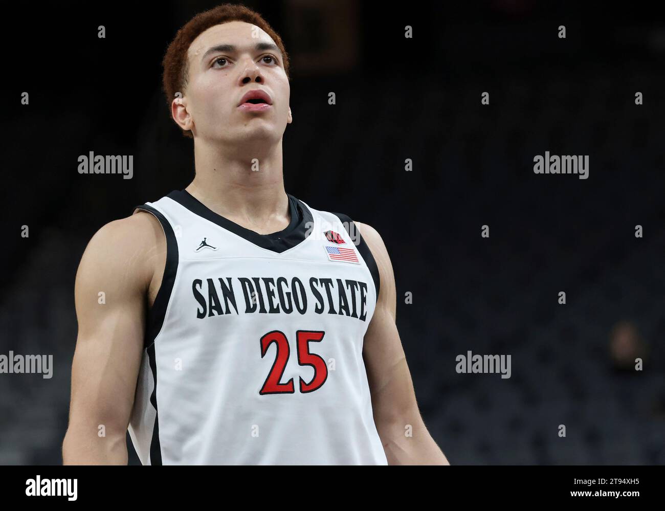 LAS VEGAS, NV - NOVEMBER 19: San Diego State Aztecs forward Elijah ...