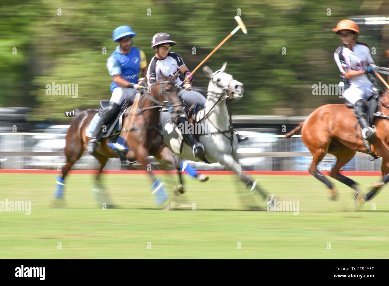 Argentine open polo hires stock photography and images Alamy
