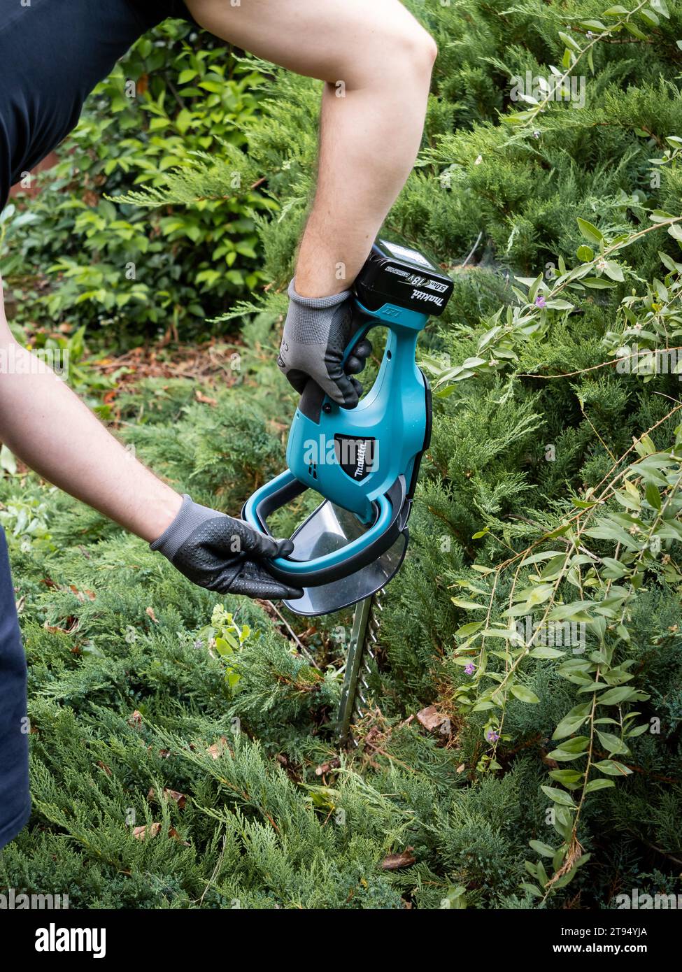 Hedge trimmer battery hi-res stock photography and images - Alamy