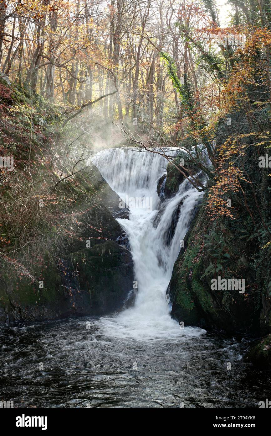 Shafts of late autumn sunshine light up spray from Afon Einion at Furnace Falls, near Machynlleth, mid Wales Stock Photo
