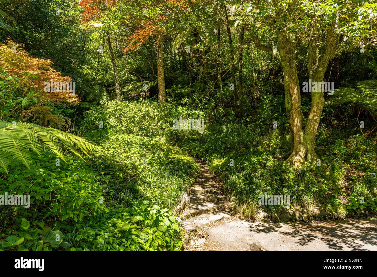 Views of the Wellington New Zealand Botanical Gardens after taking the ...