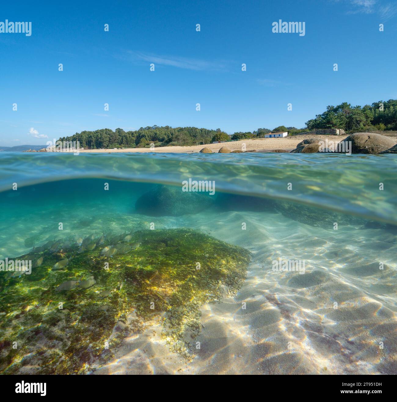 Beach coastline with sand and rock, Spain, Galicia, Atlantic ocean seascape split view over and under water surface, natural scene, Rias Baixas Stock Photo