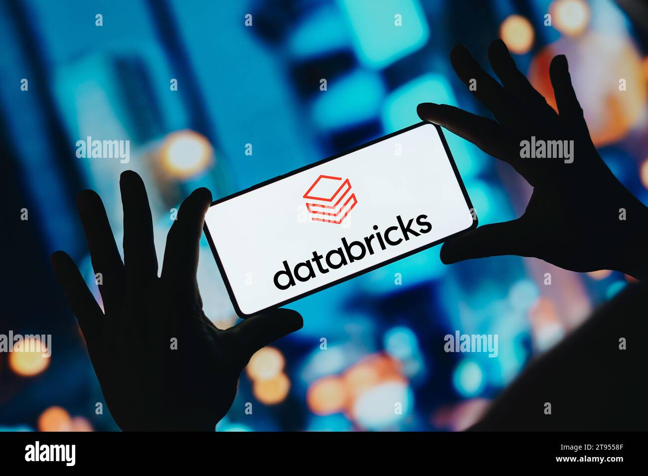 In this photo illustration, the Databricks logo is displayed on a ...