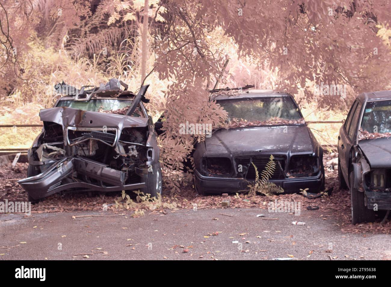 Abandoned wrecked cars black hi-res stock photography and images - Alamy