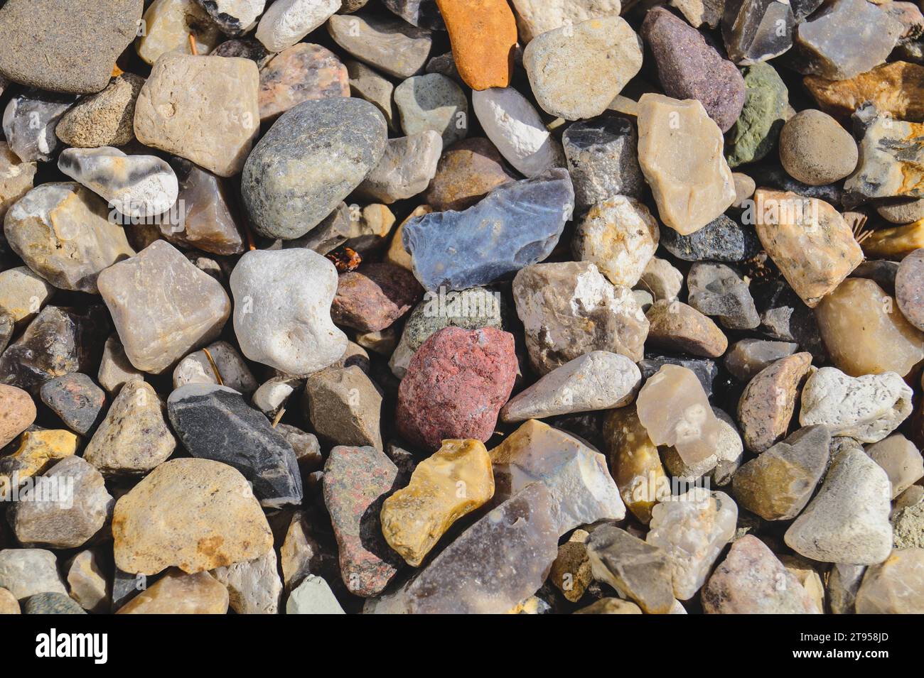 stones on a beach Stock Photo