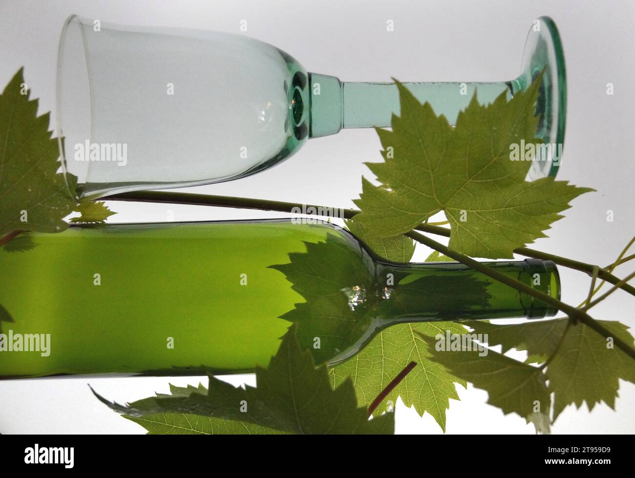 grape-vine, vine (Vitis vinifera), wine leaves with glass and bottle Stock Photo