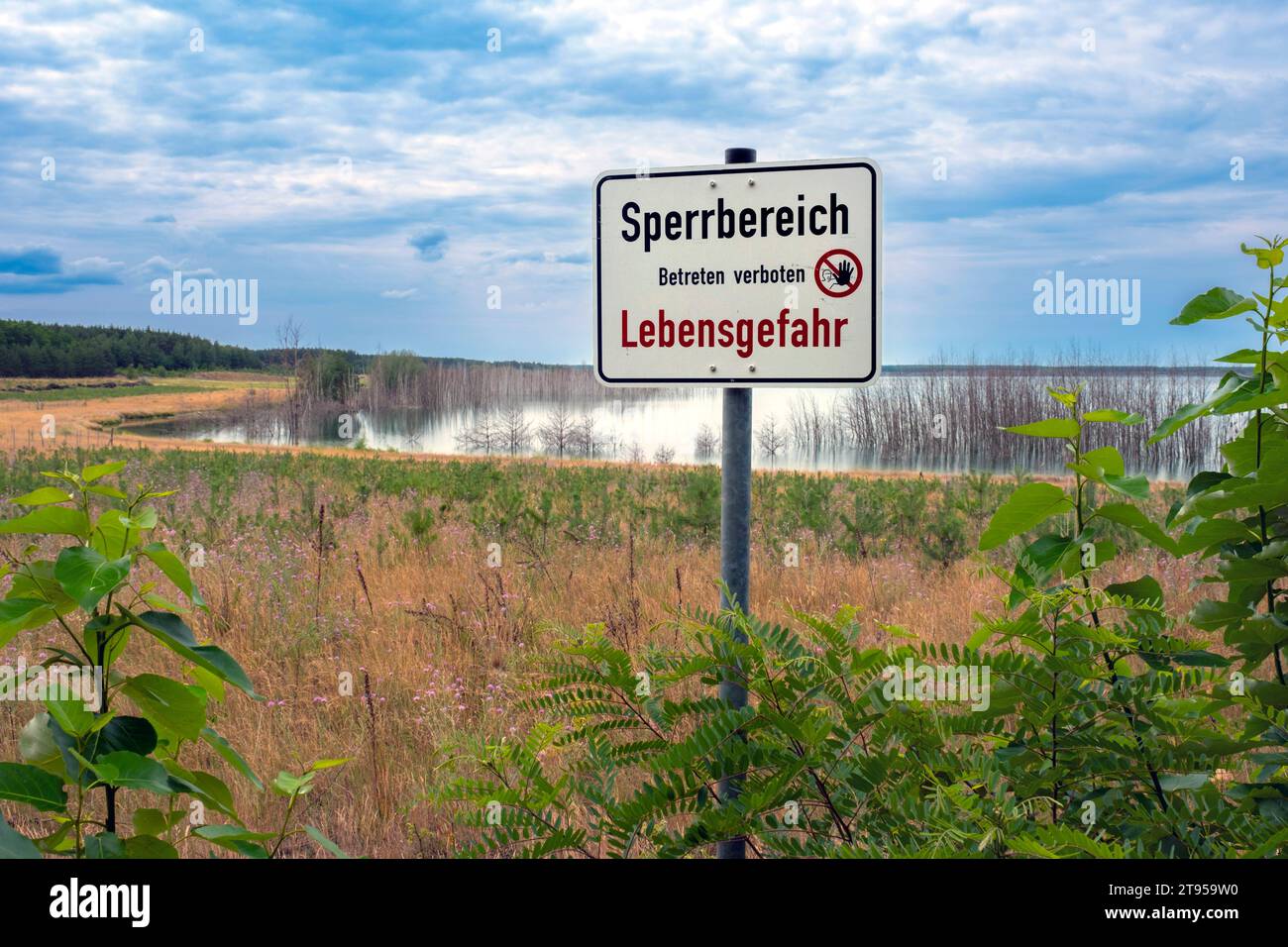 sign lettering prohibited area, danger of life, at the shore of lake Senftenberger See, Germany, Brandenburg, Niederlausitz, Senftenberg Stock Photo