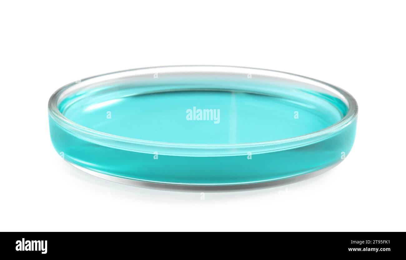 Petri dish with turquoise liquid isolated on white Stock Photo - Alamy