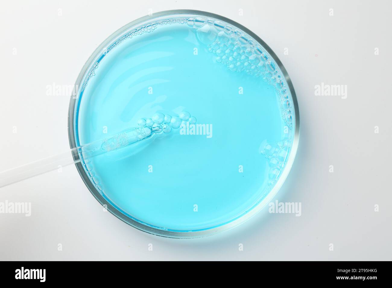 Petri dish with light blue liquid sample and pipette on white ...