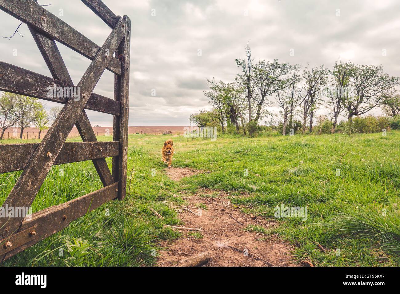 5,593 Door Threshold Stock Photos, High-Res Pictures, and Images