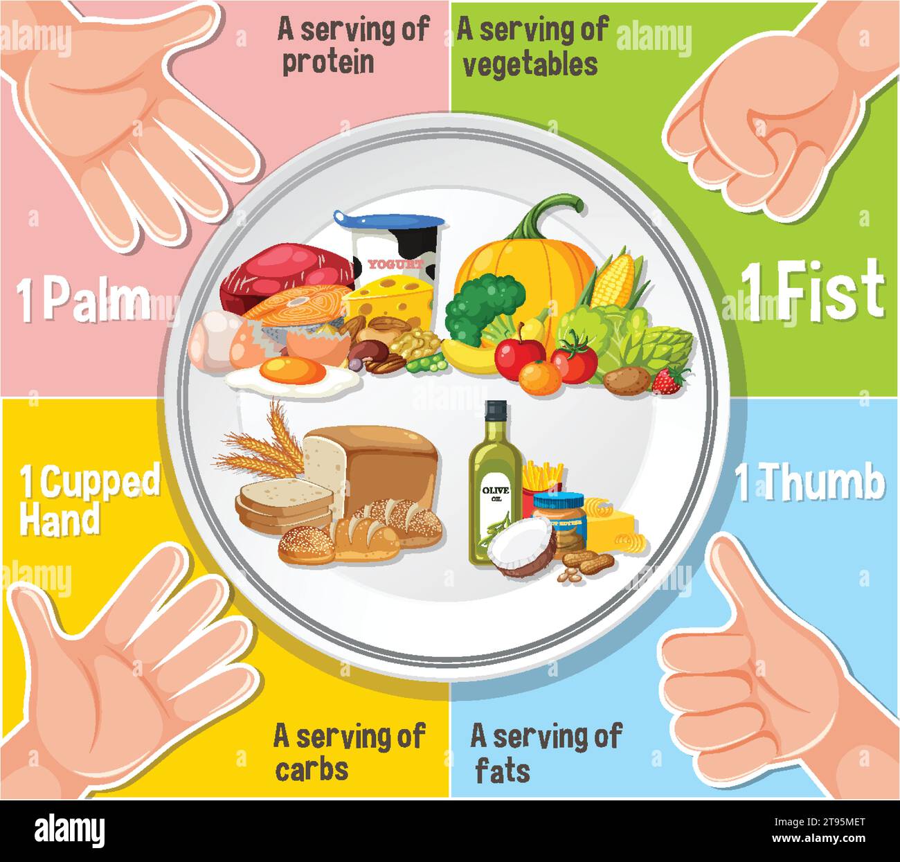 Learn how to compare food portions using hand sizes Stock Vector Image