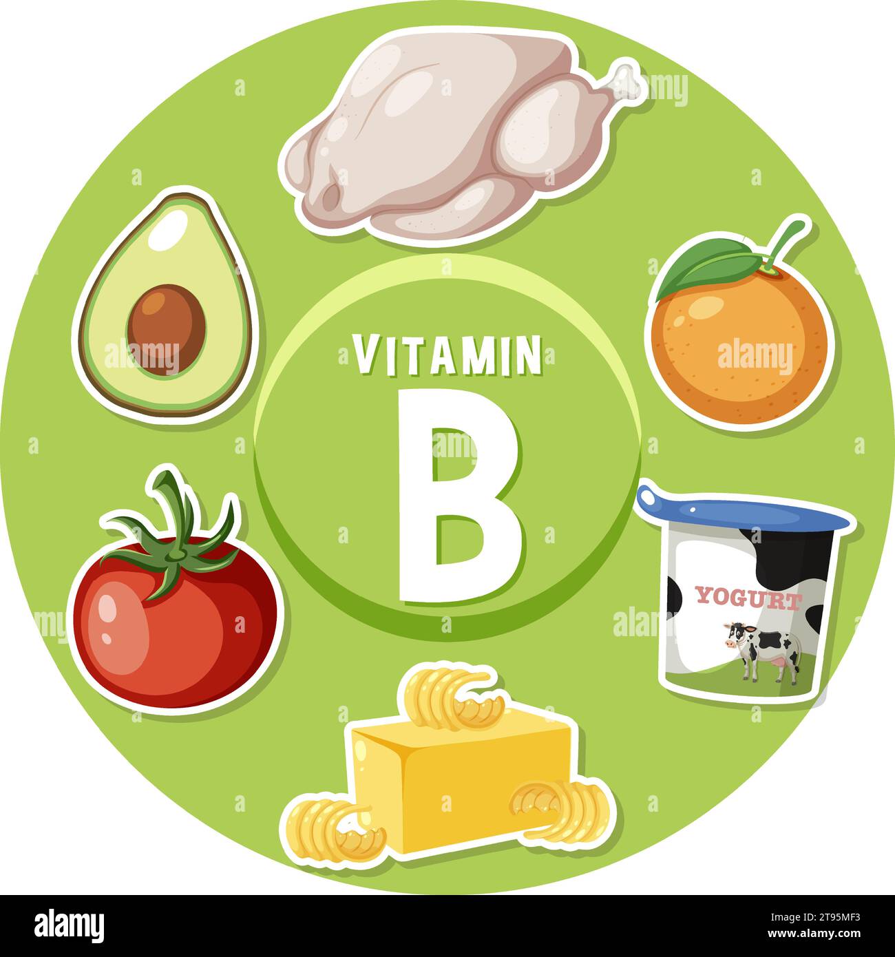 Learn About Vitamin B-rich Foods In This Educational Poster Stock ...