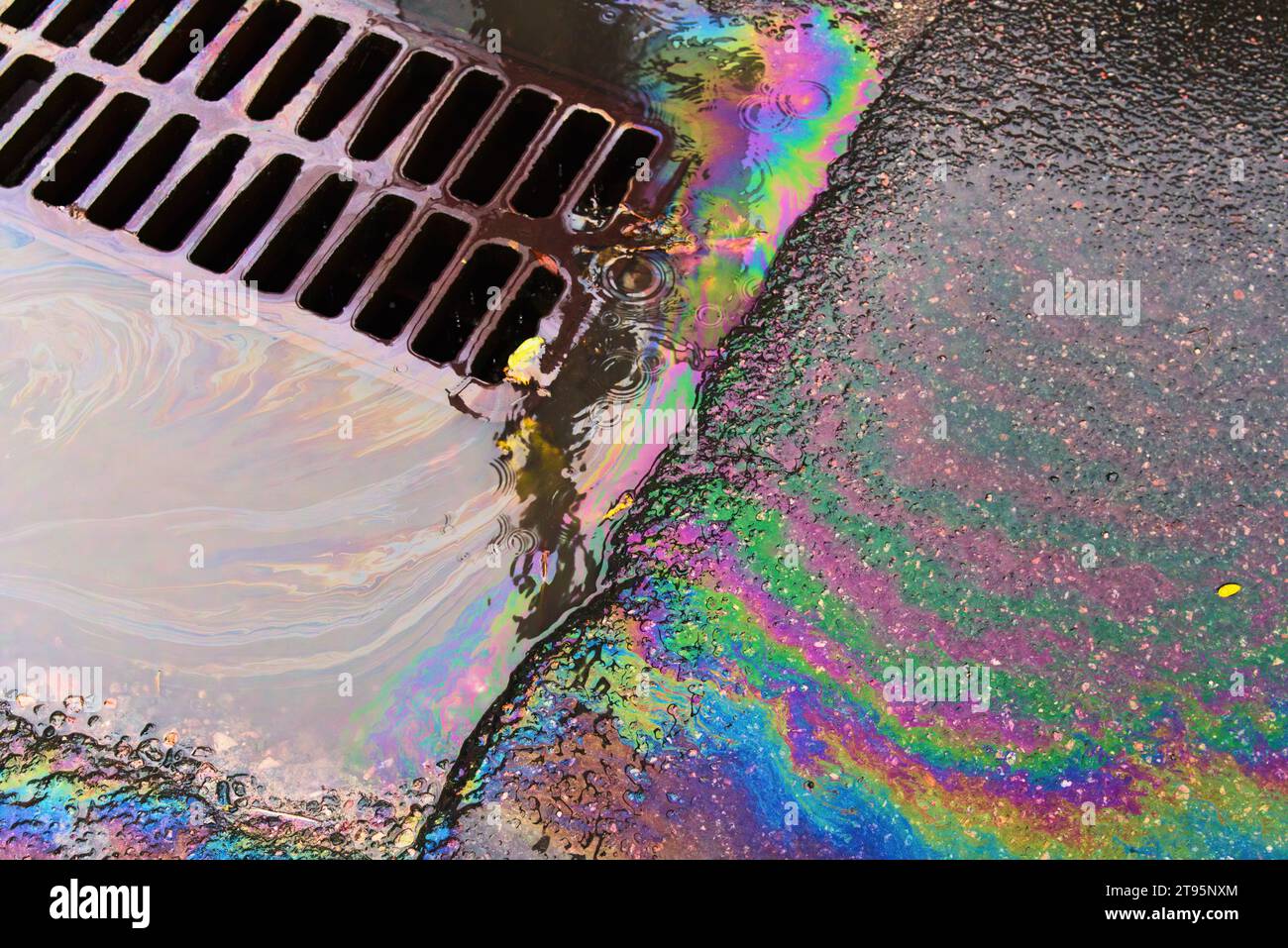 An oil slick against the backdrop of an asphalt road flows into a storm drain through a grate. Stock Photo